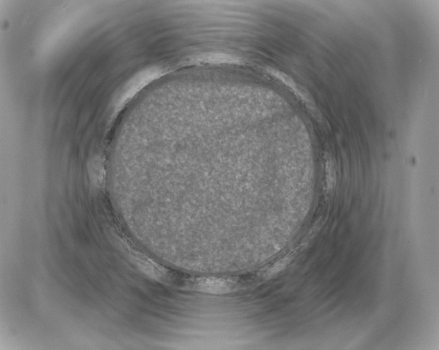 X0000085821266200704132003