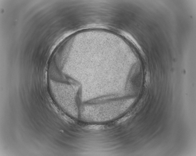 X0000085821268200704132003