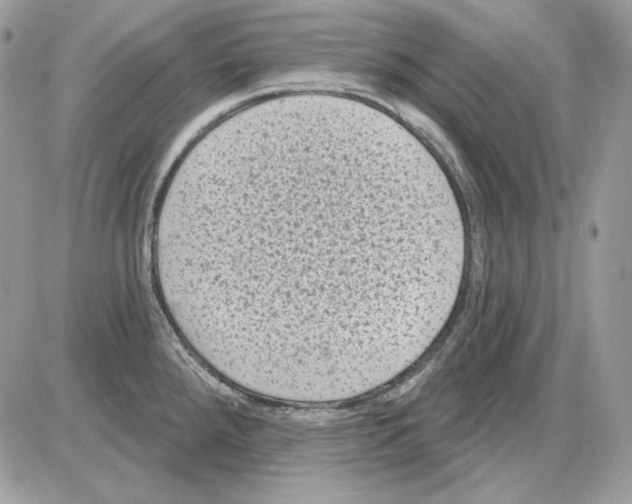 X0000085821288200704132002