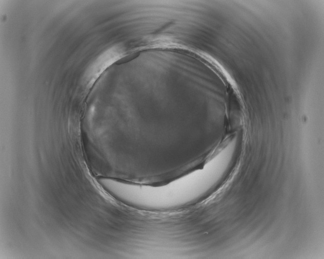 X0000085821289200704132002