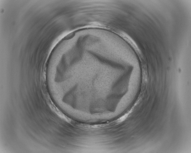 X0000085821292200704132002