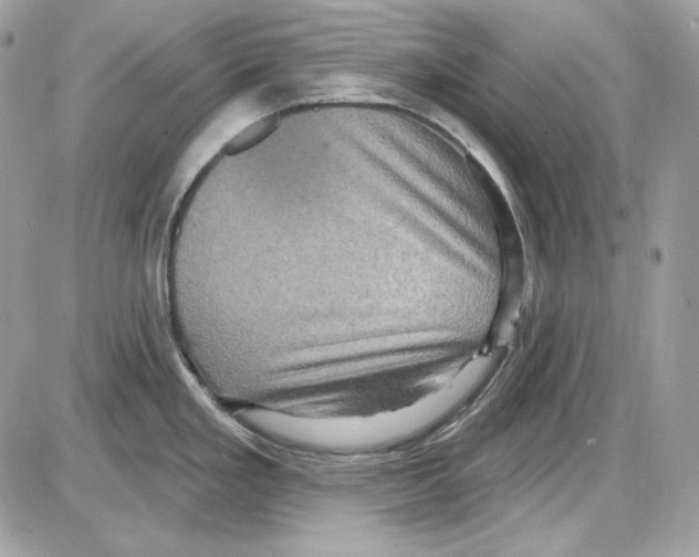 X0000085821293200704132002