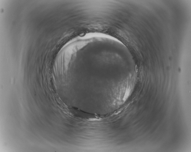 X0000085821297200704132001