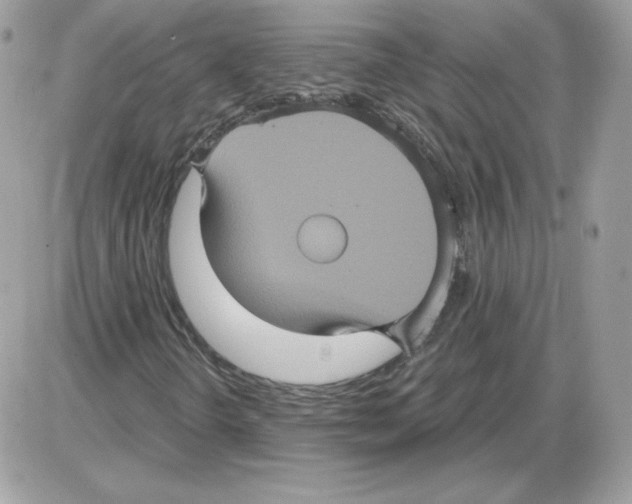 X0000085821298200704132001