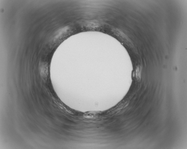 X0000085821299200704132001