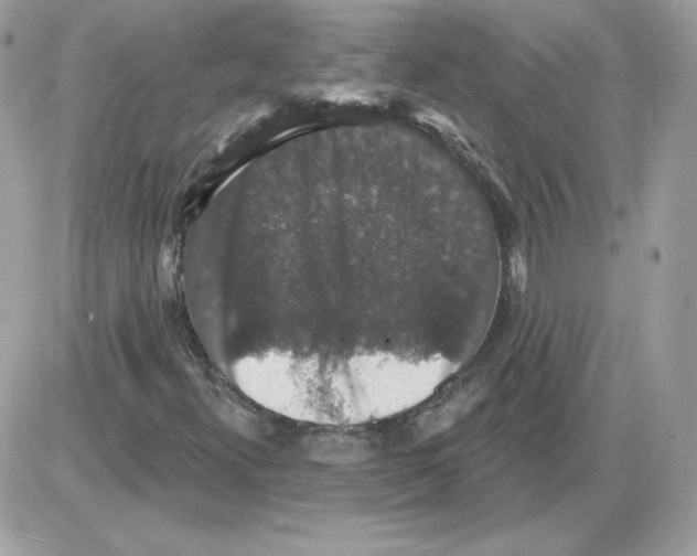 X0000085821300200704132001