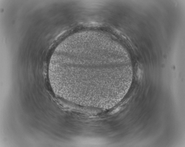 X0000085821301200704132001