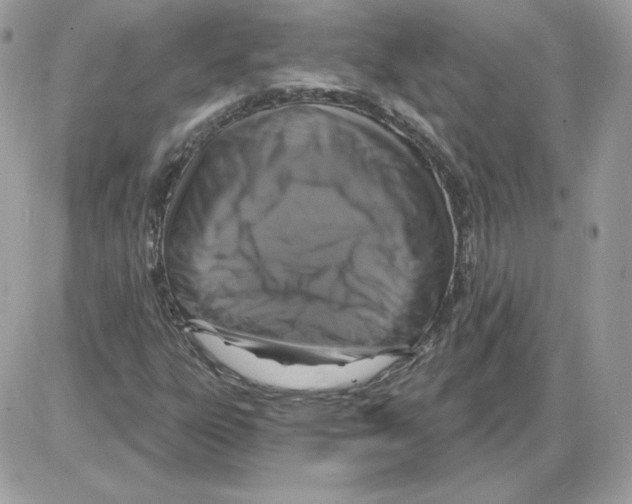 X0000085821303200704132002