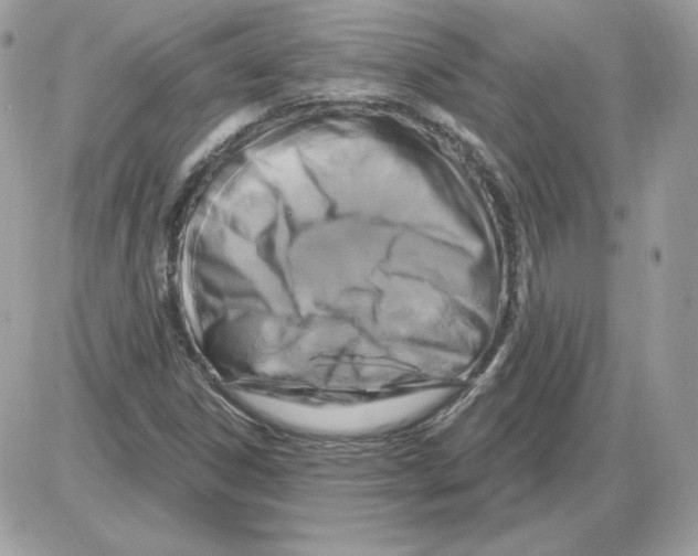 X0000085821306200704132002