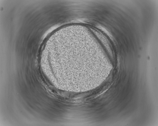 X0000085821308200704132002