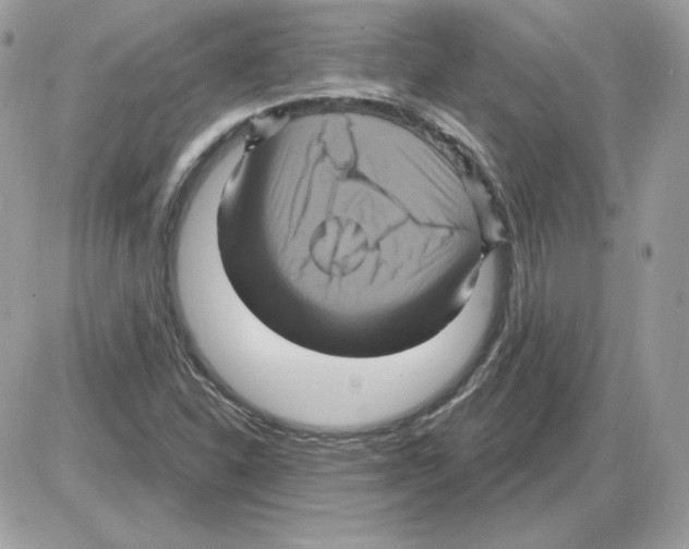 X0000085821310200704132002