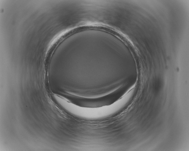 X0000085821319200704132002