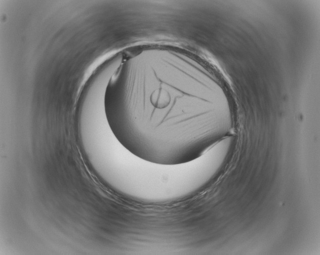 X0000085821320200704132002