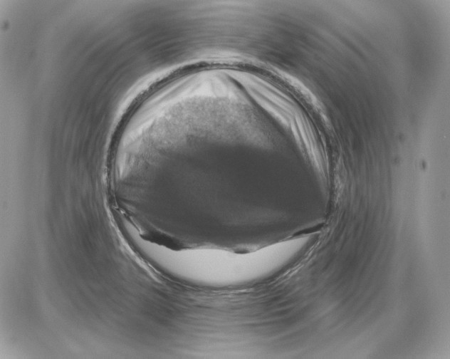 X0000085821327200704132002