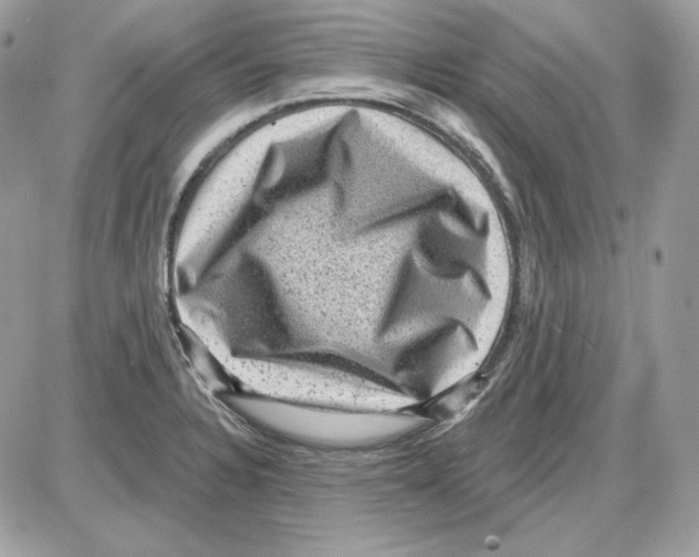 X0000085821328200704132002