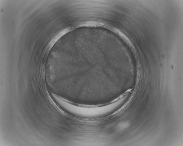 X0000085821329200704132002