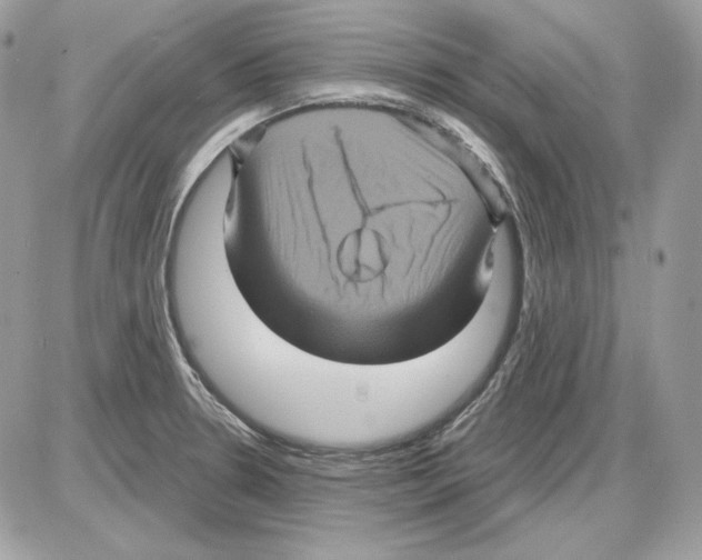 X0000085821330200704132002