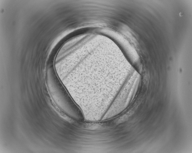 X0000085821332200704132002