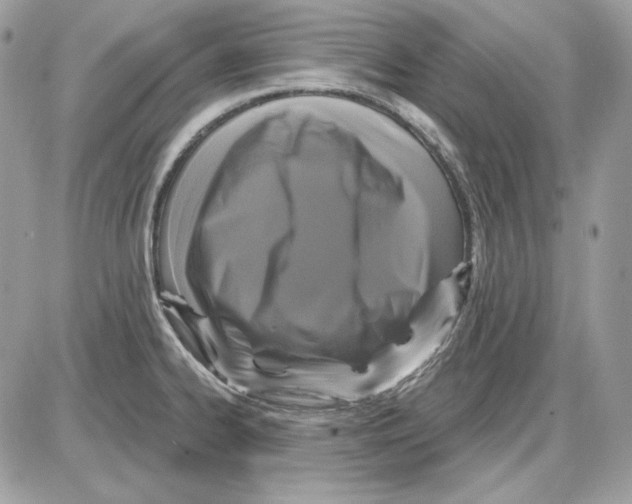 X0000085821334200704132002