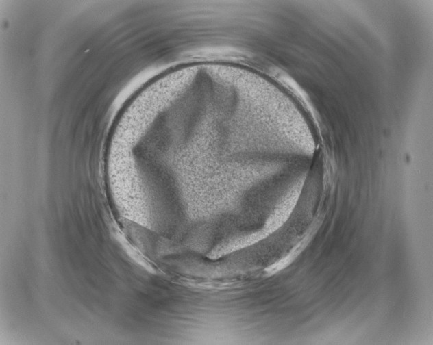 X0000085821336200704132002