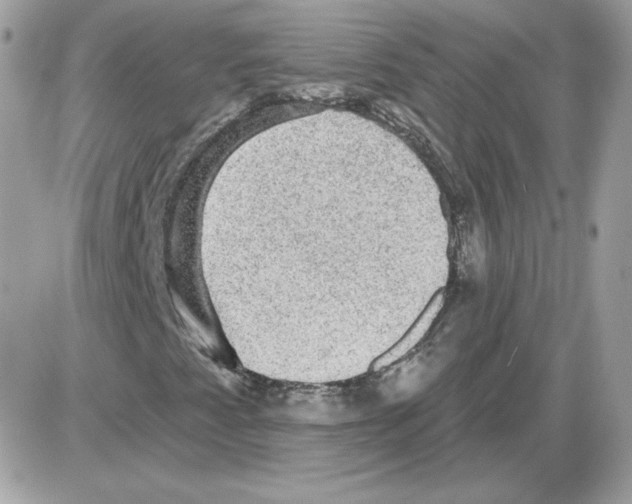 X0000085821345200704132001