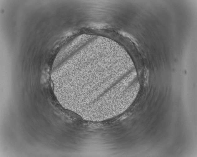 X0000085821349200704132001