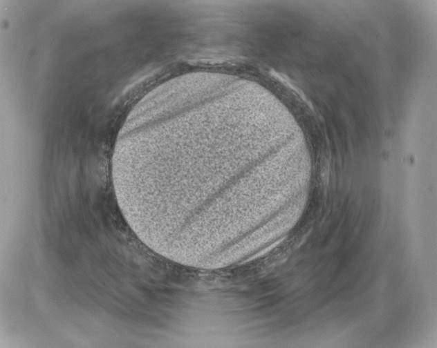 X0000085821350200704132001