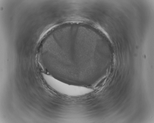X0000085821352200704132001