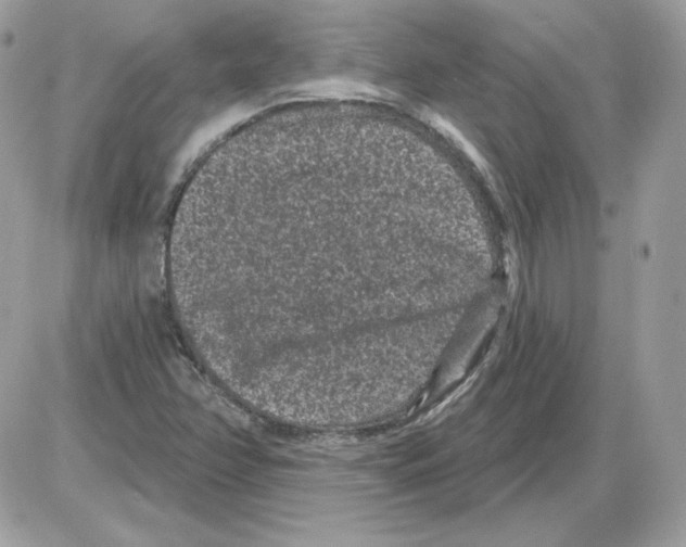 X0000085821358200704132001