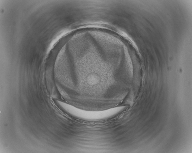 X0000085821360200704132001