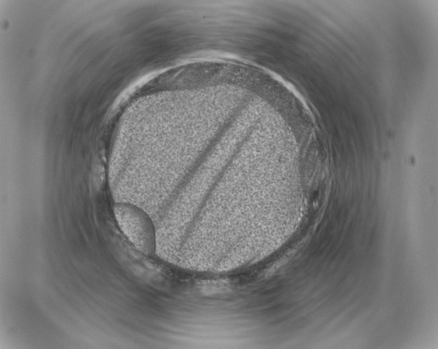 X0000085821363200704132001