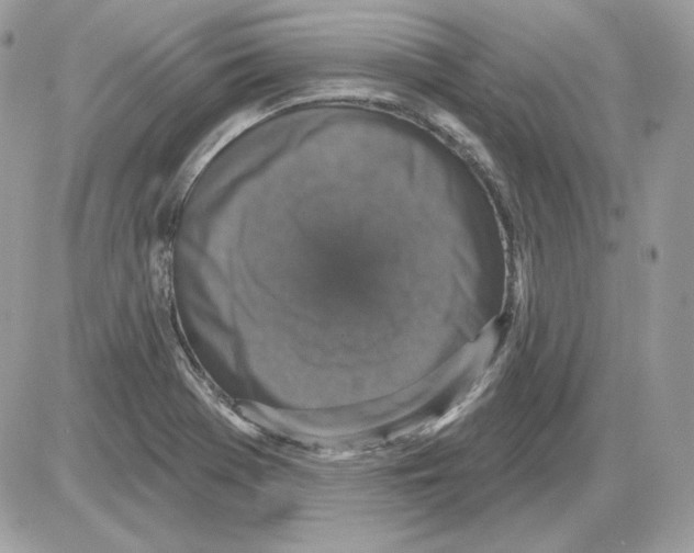 X0000085821369200704132001