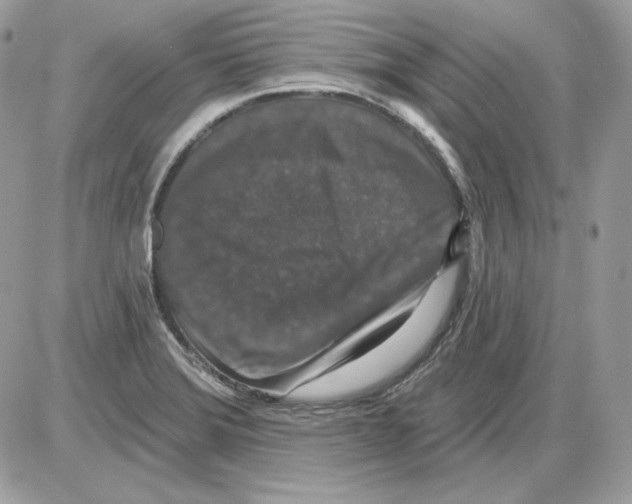 X0000085821372200704132001
