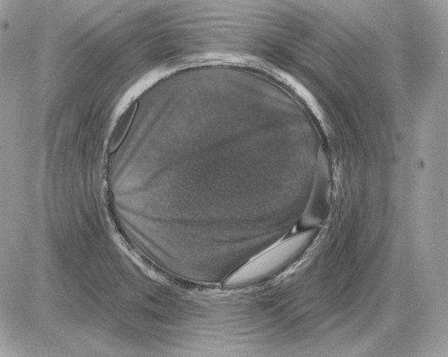X0000085821373200704132001