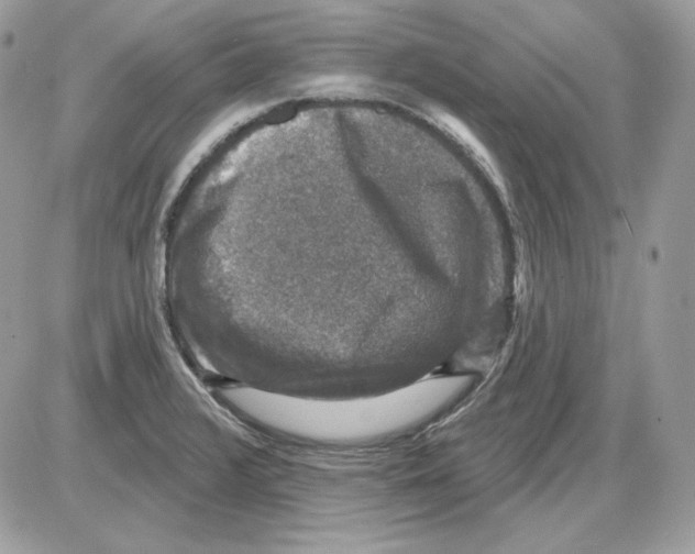 X0000085821376200704132001