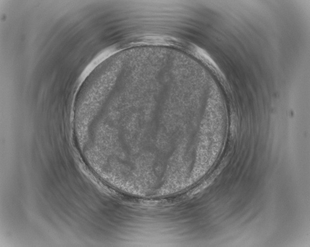 X0000085821378200704132001