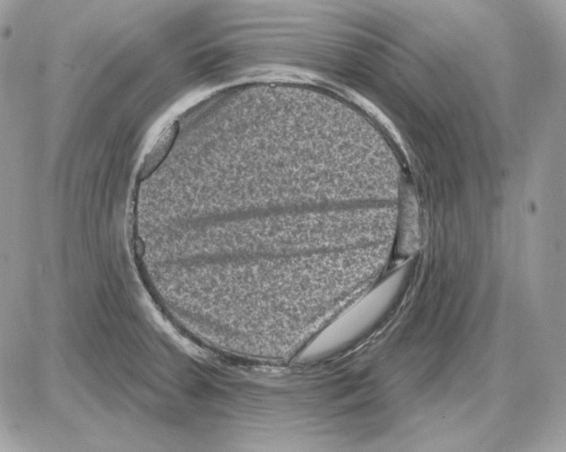 X0000085821379200704132001