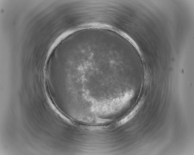 X0000085821381200704132001