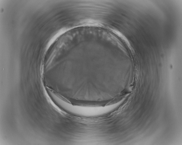 X0000085821383200704132001