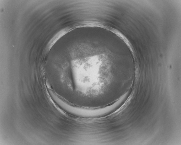 X0000085821385200704132001