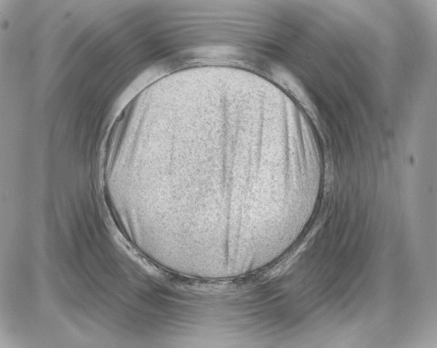 X0000085821386200704132001