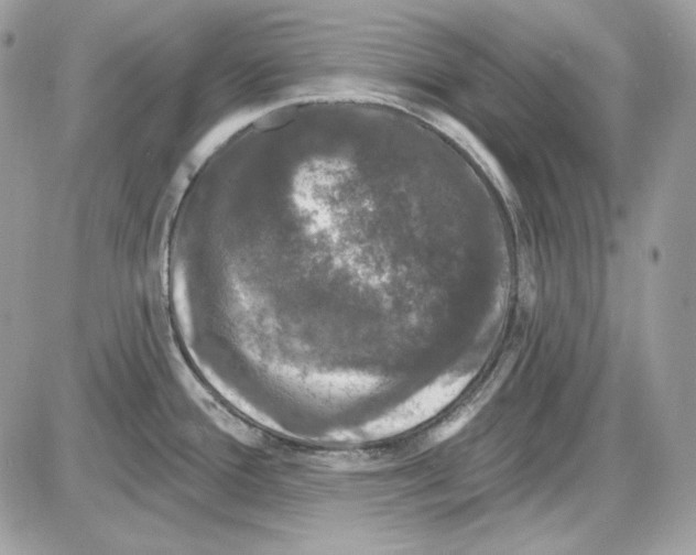X0000085821388200704132001