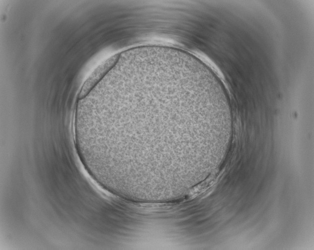 X0000085821391200704132001