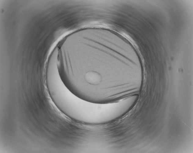 X0000085821392200704132001