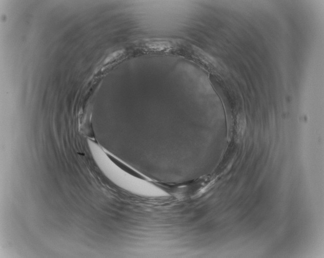 X0000085821394200704132000