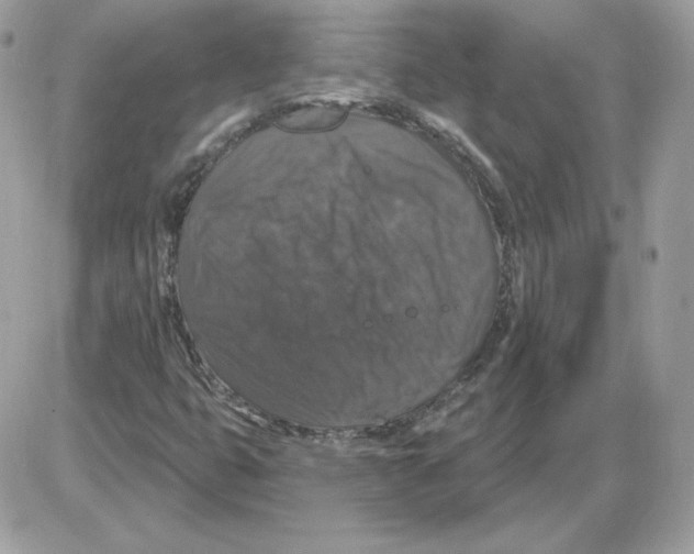 X0000085821399200704132000