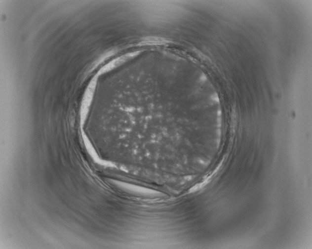 X0000085821401200704132000