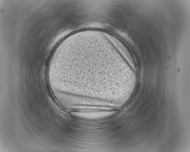X0000085821404200704132000