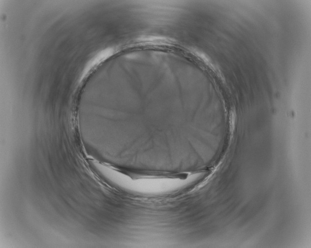 X0000085821405200704132000
