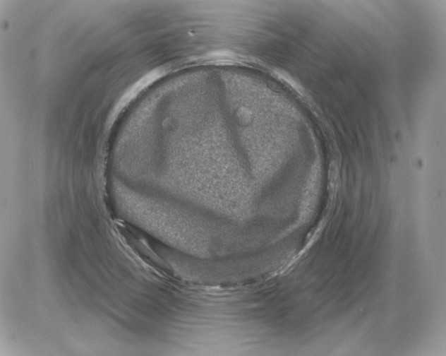 X0000085821410200704132000
